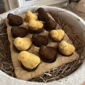 Adorable Set of 12 Brown Yellow Chicks in Egg Carton Easter Spring Decor